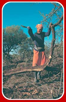 chopping firewood