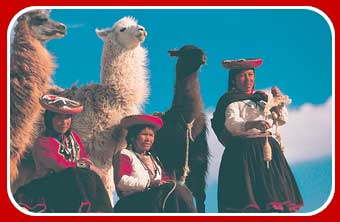 women with llamas